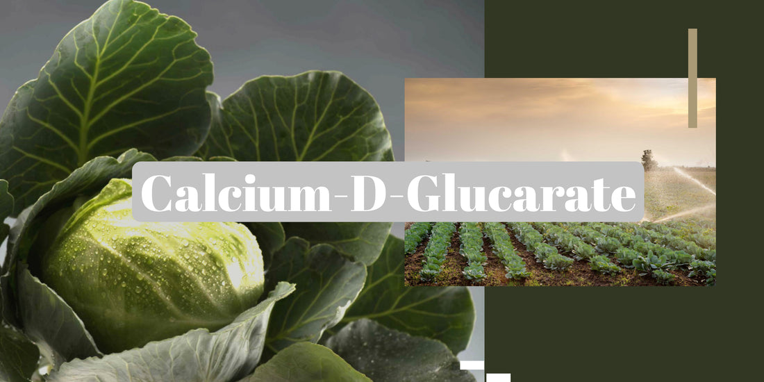 Calcium-D-Glucarate